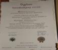 Honorowy Dyplom samoakredytacji przyznany przez Fundacje Uniwersytetu Jagiellonskiego